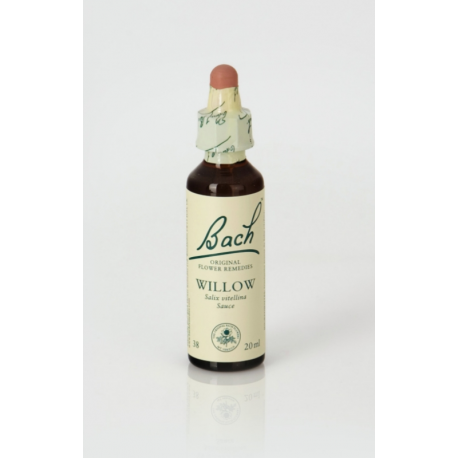 flores bach BACH 38 WILLOW (SAUCE) 20ml