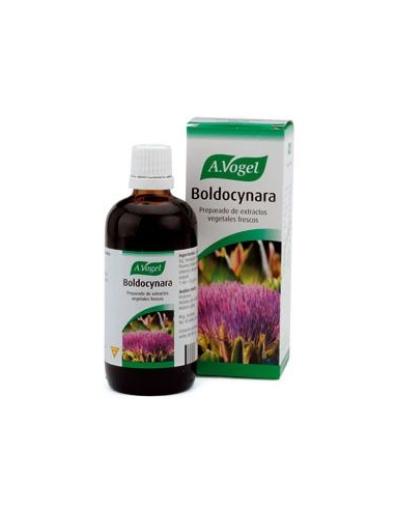 digestivos BOLDOCYNARA 100 ML