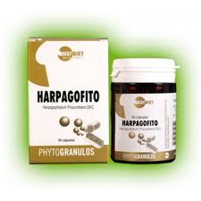 plantas en comprimidos HARPAGOFITO PHYTOGRANULOS 45 caps