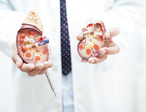 Como cuidar tus riñones: Pequeños órganos, grandes cuidados