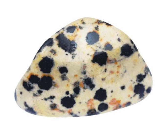 PIEDRA JASPE DALMATA