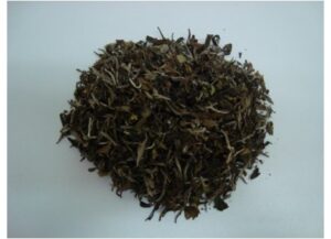 plantas en bolsa TE BLANCO 50 gr