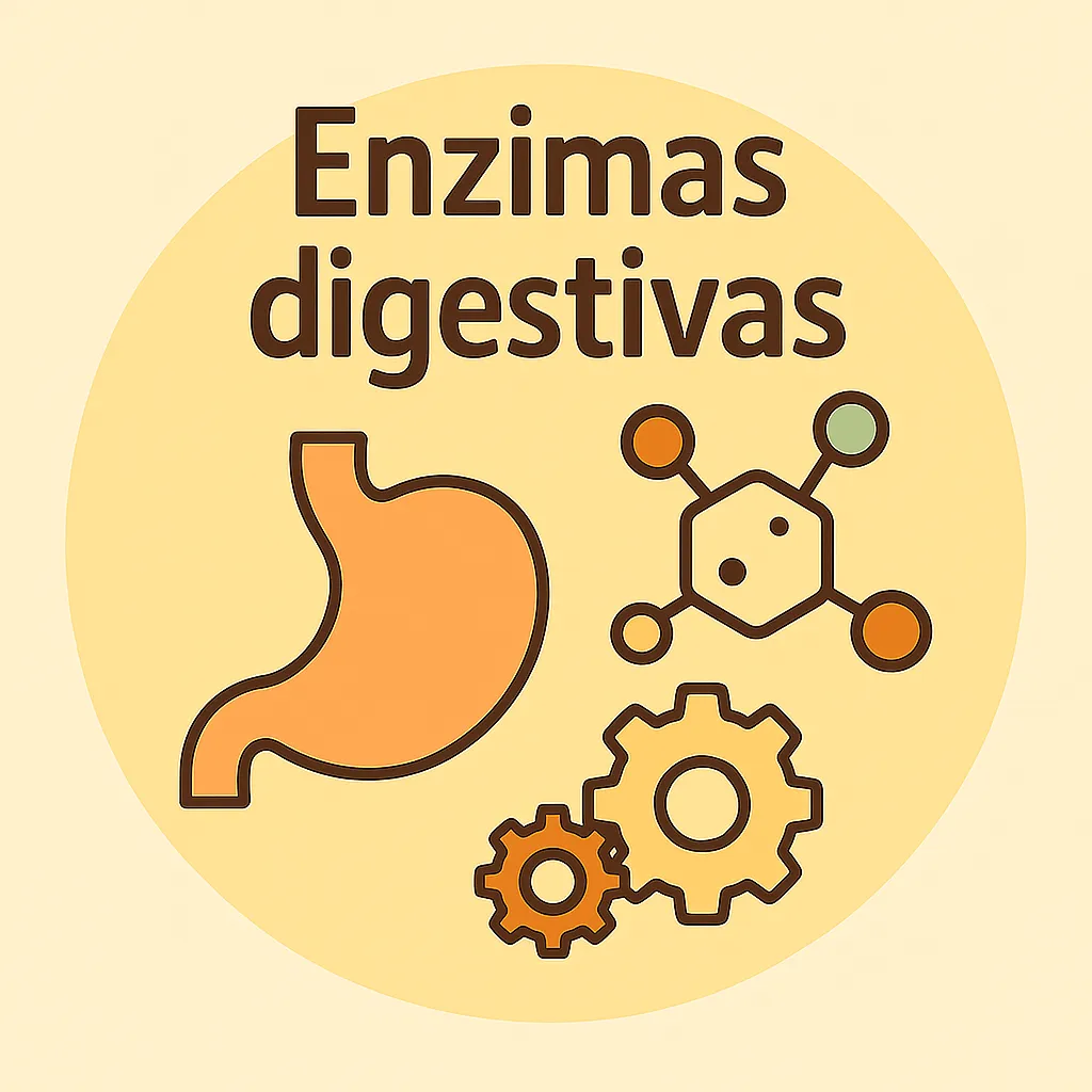 lustración plana con engranajes y moléculas, simbolizando enzimas digestivas de forma natural y moderna.
