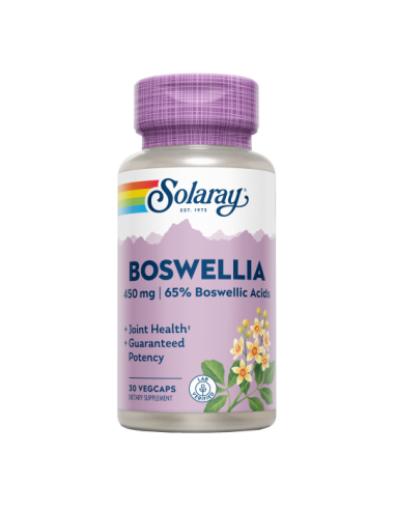 huesos y articulaciones BOSWELLIA 450MG 60 CAP VEG